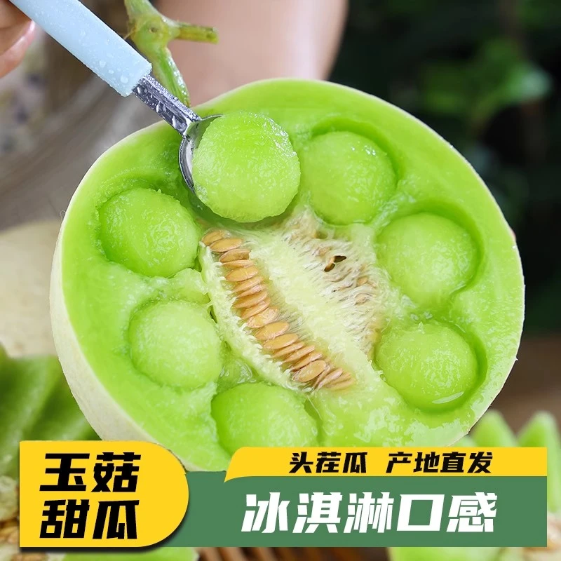 【热卖推荐】山东冰淇淋玉菇甜瓜1个 约2.2-2.5斤 甜糯多汁