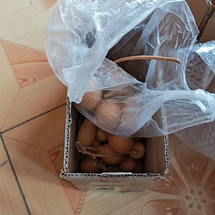 漫*天然葫芦选品链接
