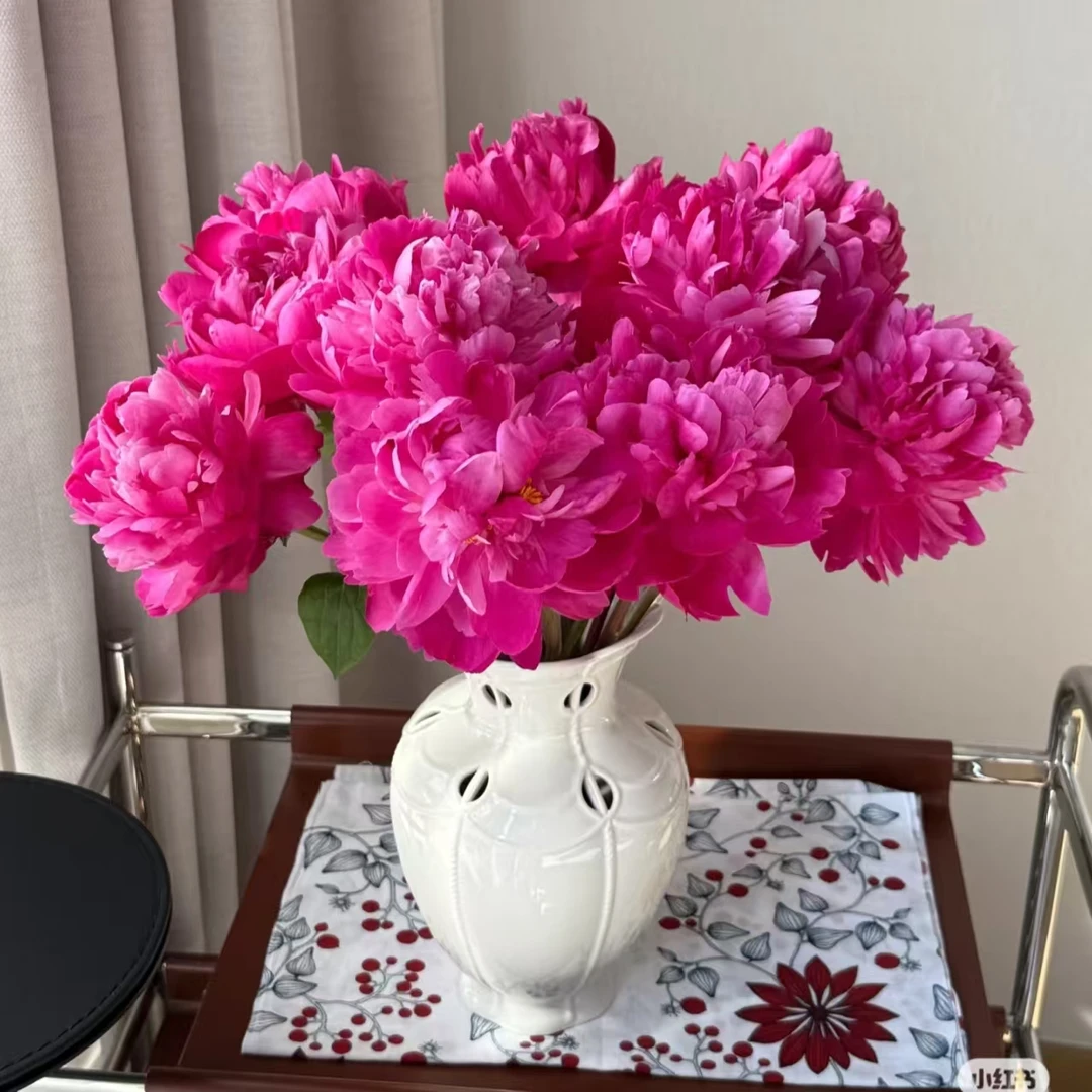 芍药（红富士）东北鲜花顺丰包邮