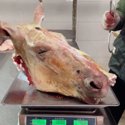 【闪购商品】冷冻保存30天包装河北省