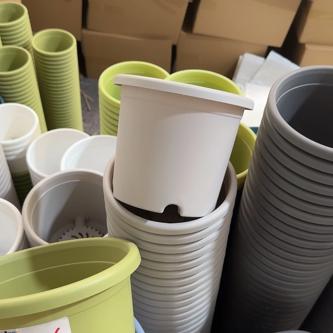 微瑕2号10个无托，灰白