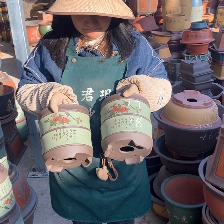 紫砂花盆盆栽花卉苗木种植