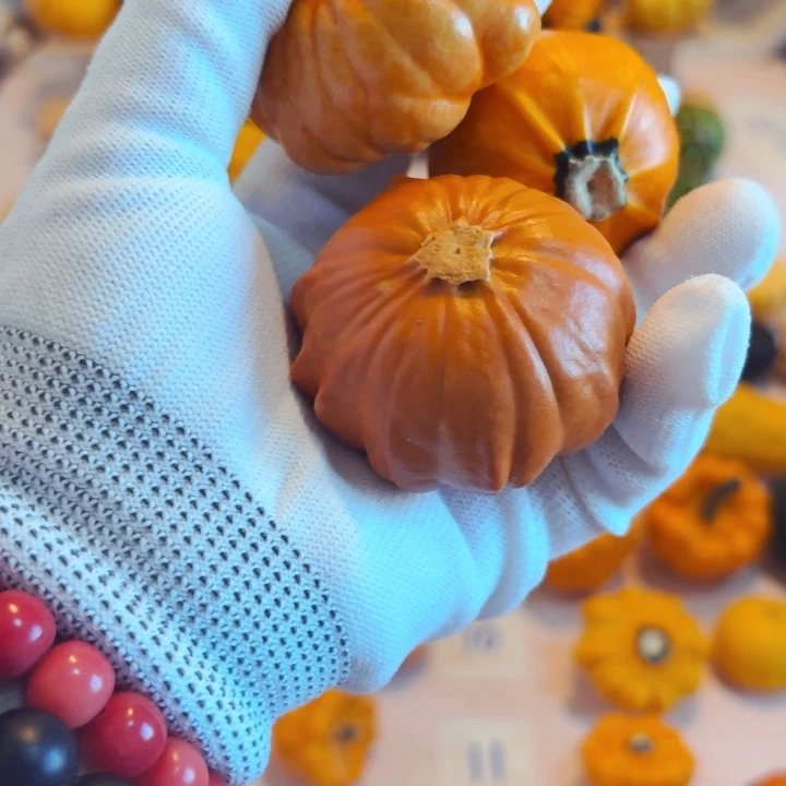 米*墨西哥七彩葫芦青皮