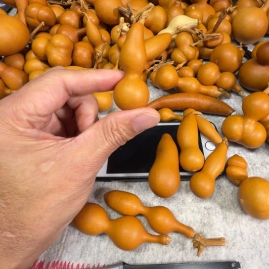 熙***芃心烦的一把一把一把葫芦一把狙劈完了