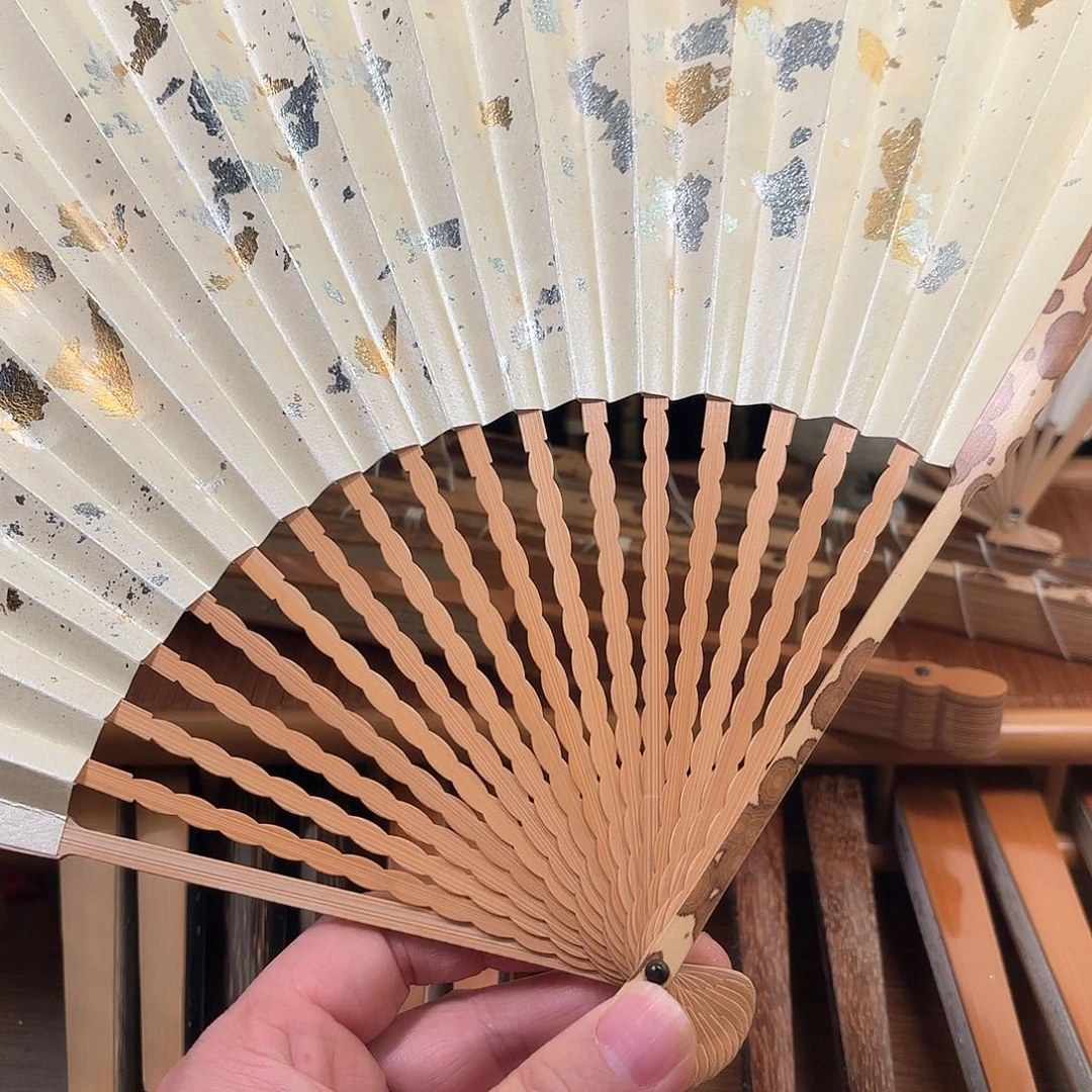 扇子白洒金龙鳞梅妃