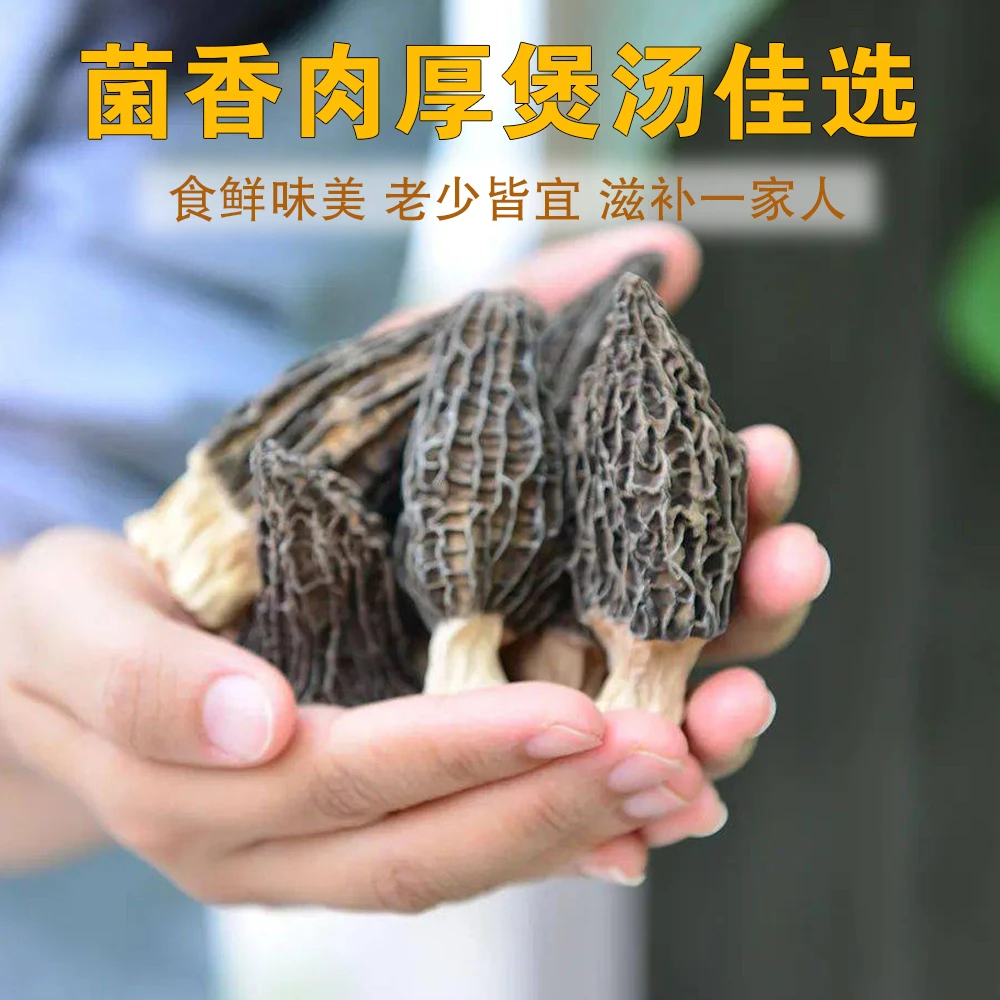 四川深山羊肚菌干货肉质肥厚煲汤食材送礼佳品