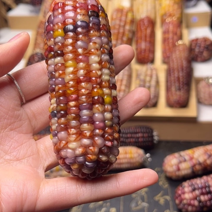 文玩玉米小灯泡芯