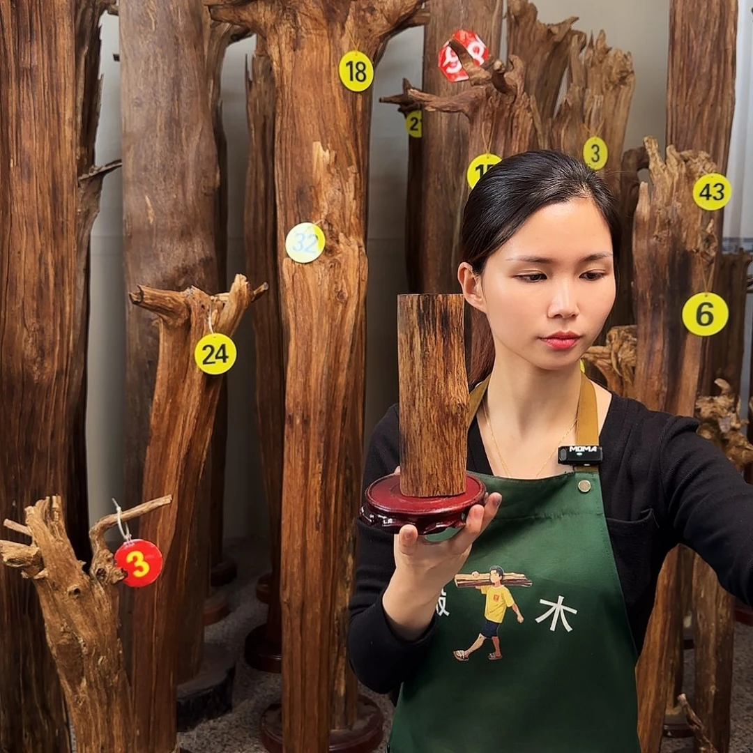 沉香沉香碎屑天然沉香原材料香料熏料