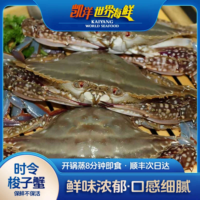 【断氧】大连梭子蟹 3斤 2-3两/只 【保鲜不保活】不保腿全