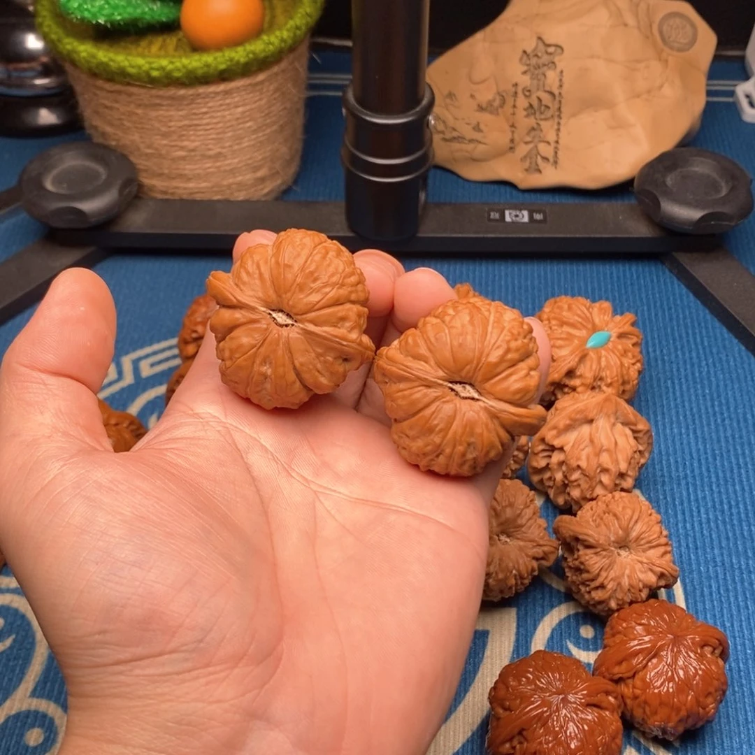 43尺南瓜文玩核桃
