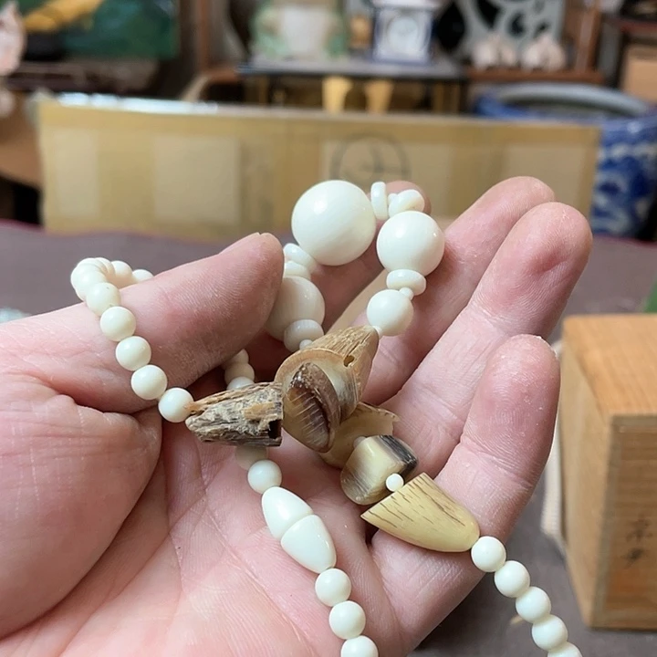 瓷片看*闹哈哈哈哈哈哈哈哈