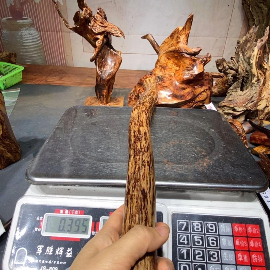 江***草香榧木我们都在努力着