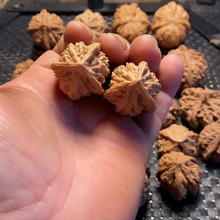 吊坠桃核核桃核桃