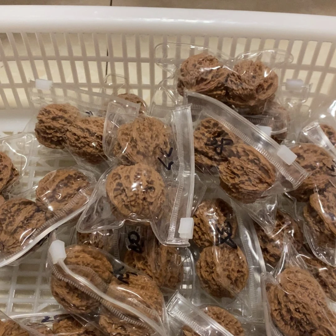 文玩核桃吊坠灯笼不退