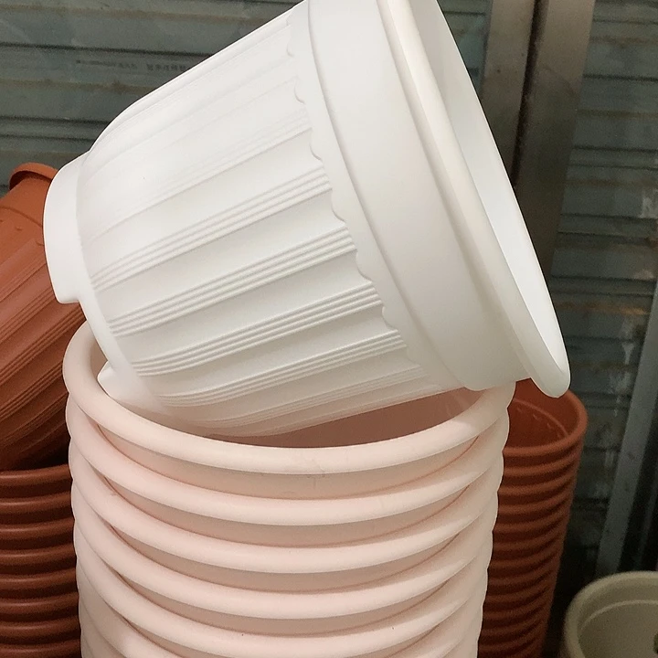 罗马口24高20白4个