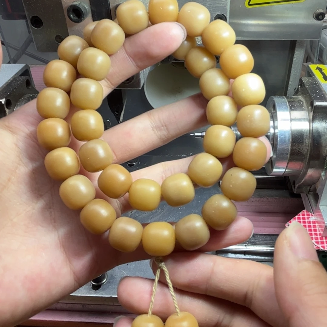 手串菩提根/象牙果