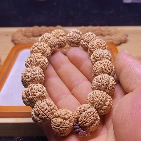 手串金刚菩提今日福利