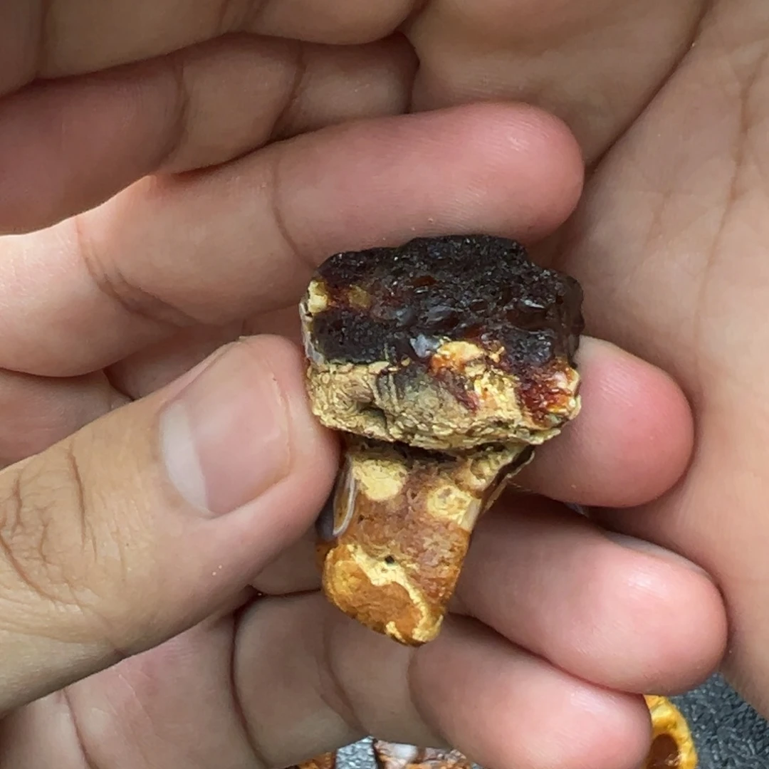 未镶嵌定制琥珀蜜蜡