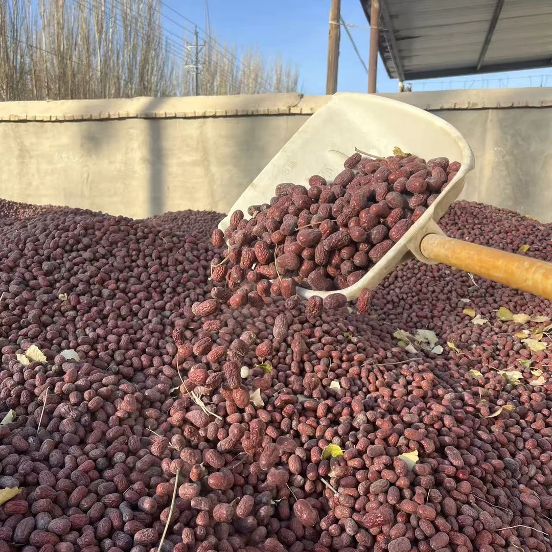 [姜小六专属]2025新疆原生态未清洗自然吊干灰枣