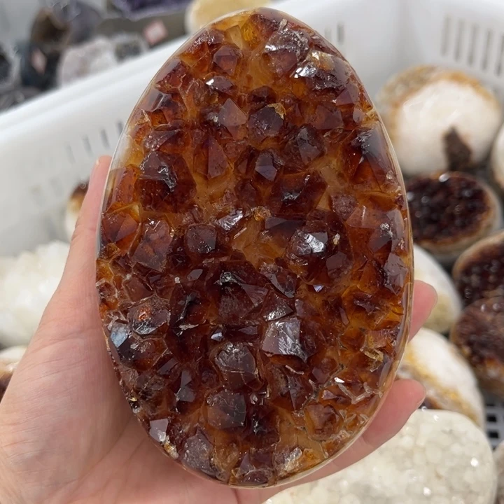未镶嵌发饰水晶大牙黄蛋
