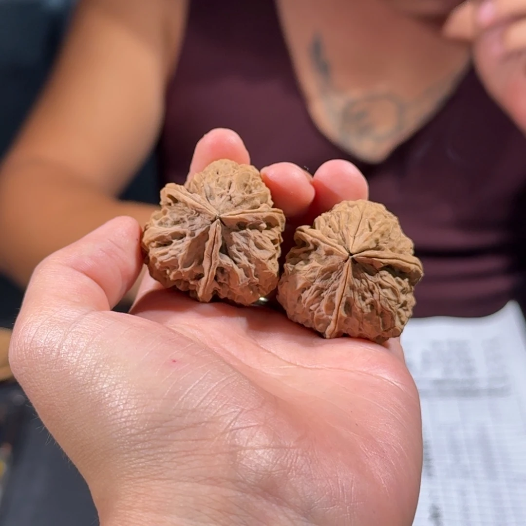 文玩核桃把件187号莲花三棱