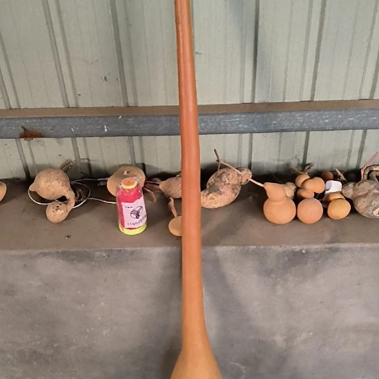 一个老红皮大刀葫芦出售