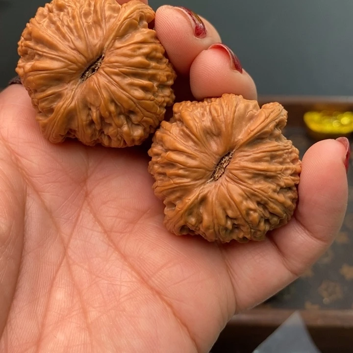 核桃泥鳅背41尺核桃