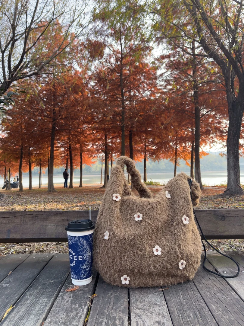 阿泽2025新款秋冬毛绒百搭包包链接