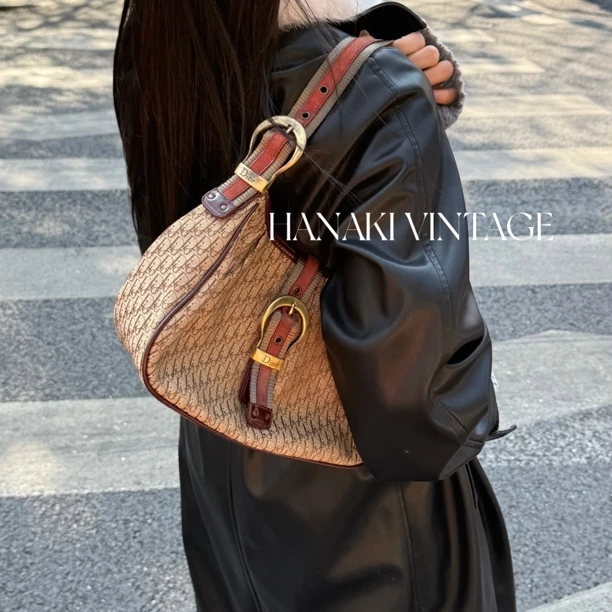 95新 DIOR/迪奥 花绮二店/Dior迪奥棕老花元宝单肩包