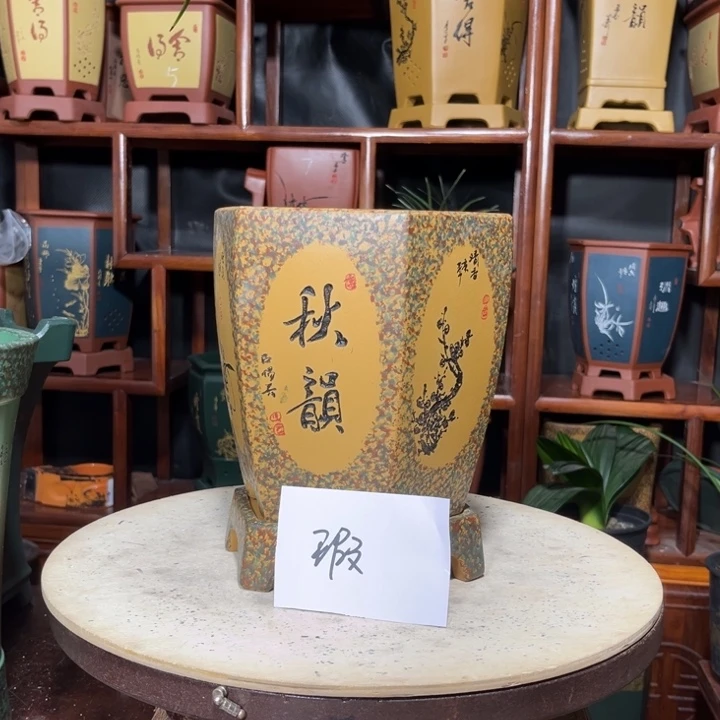 舍*得关注陶霸廊精品紫砂