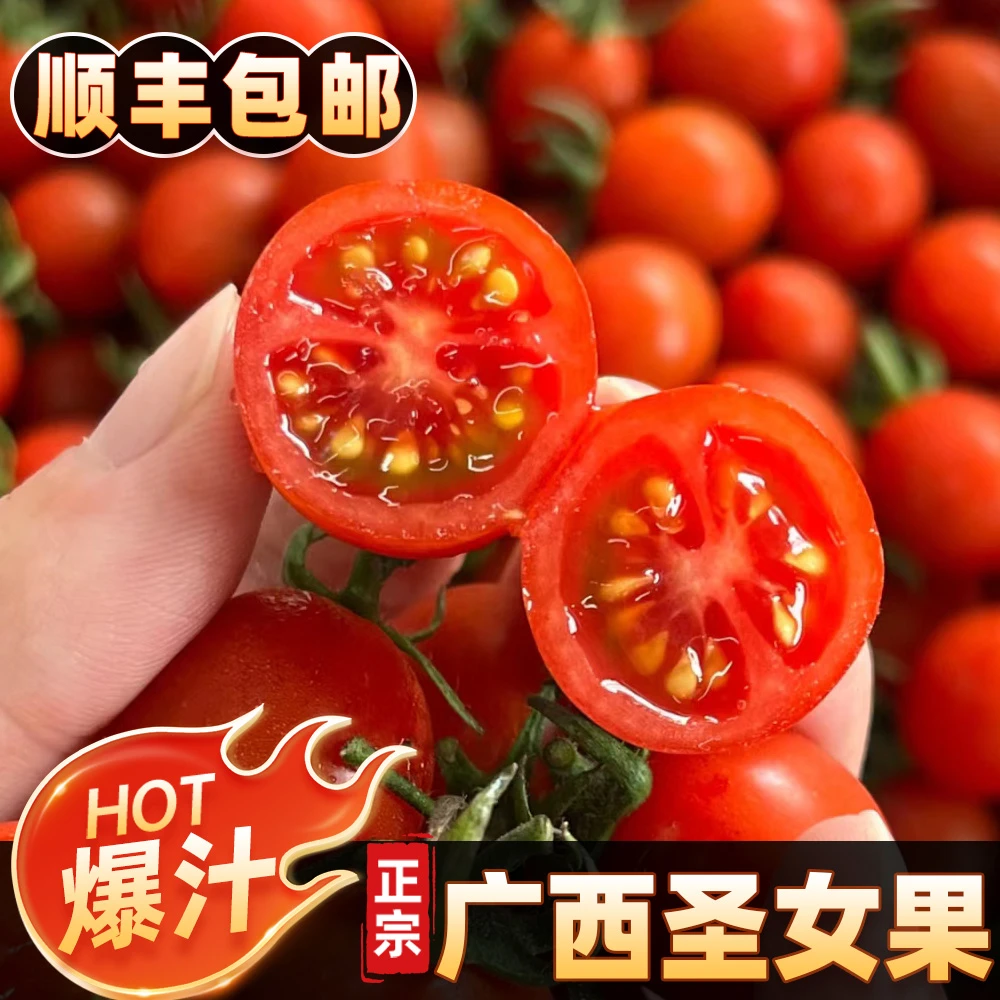 【顺丰包邮】广西圣女果番茄水果西红柿皮薄软嫩多汁新鲜生吃小柿子
