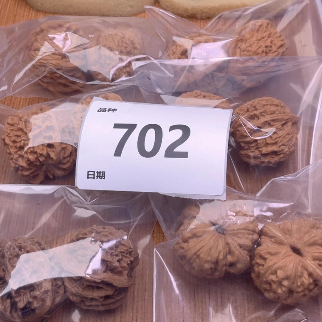 文玩核桃把件702号6对带练手元宝