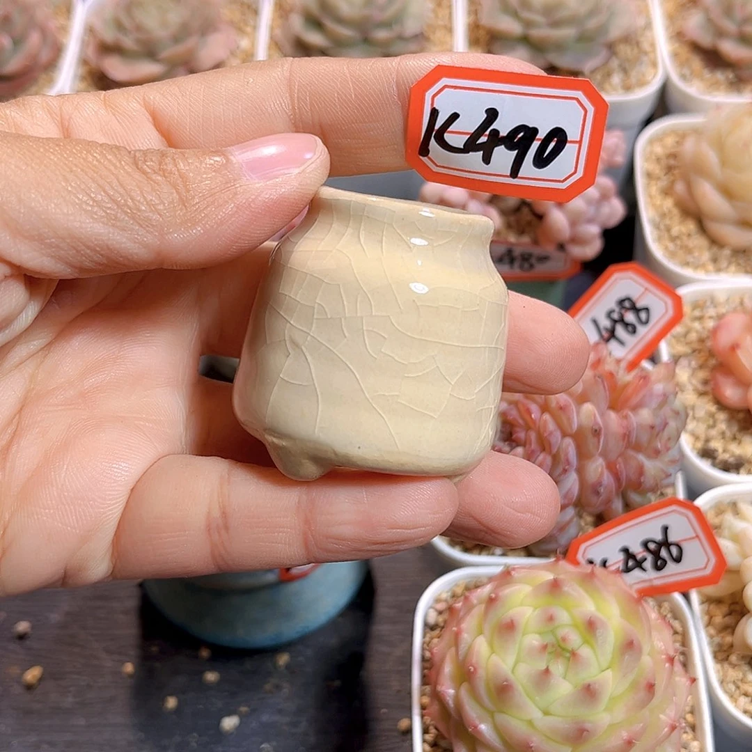 刘***音K490 盆 满18包邮