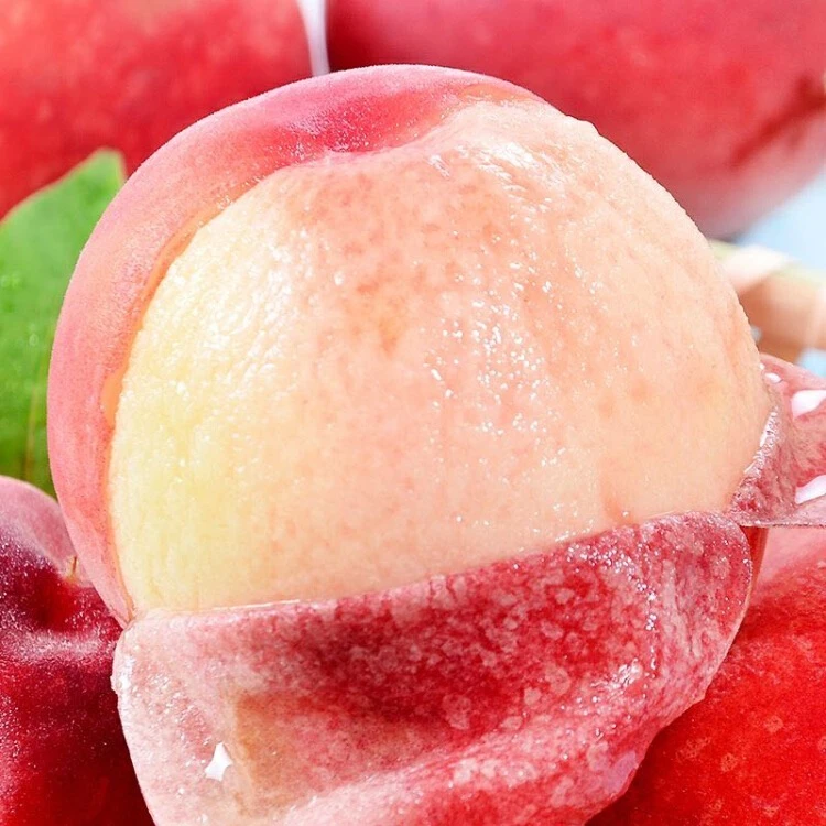 【品牌专属无锡水蜜桃5-6两】水蜜桃日川清甜多汁当季水果现采包邮