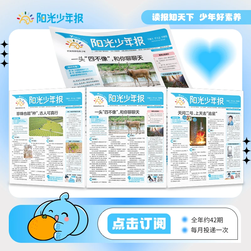 阳光少年/大少年报纸（新闻热点素养提升学习报）下单赠