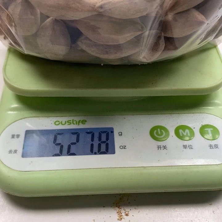 倔***哥手串/手链橄榄核橄榄核雕