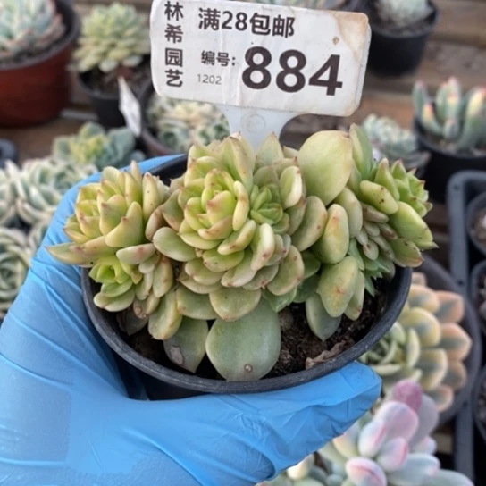 884一一一一一一一一一