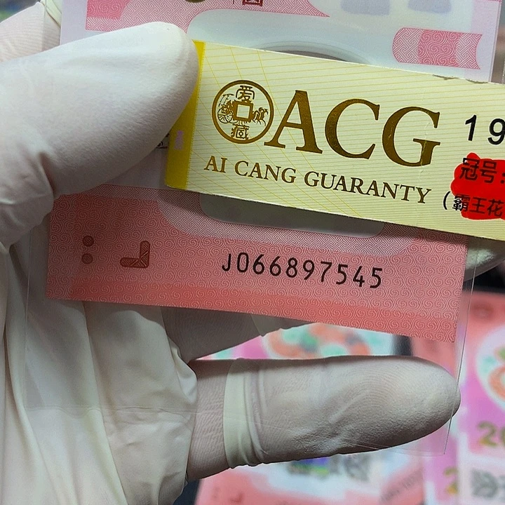 一张一张一张一张一张一张