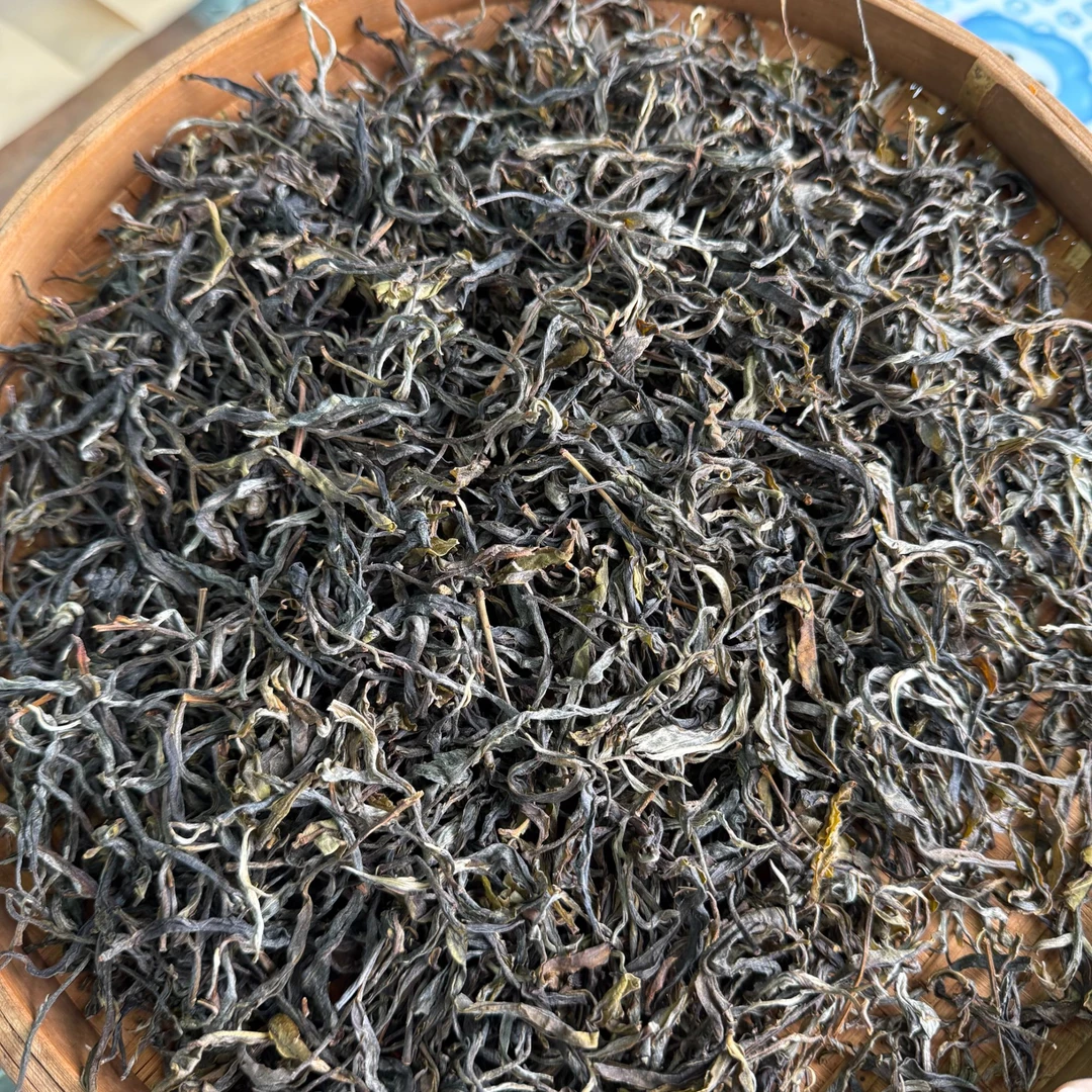 【8.1】易武产区 2024蟒蛇箐小高杆 古树纯料 春 普洱生茶 【022】