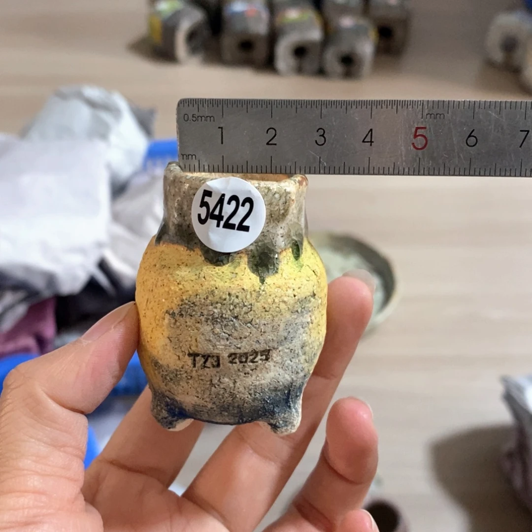 拍3送一个小礼物