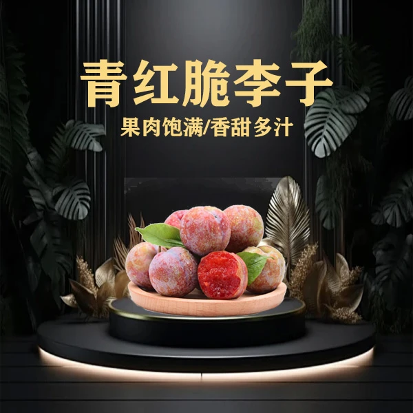 C15青红脆李子500g