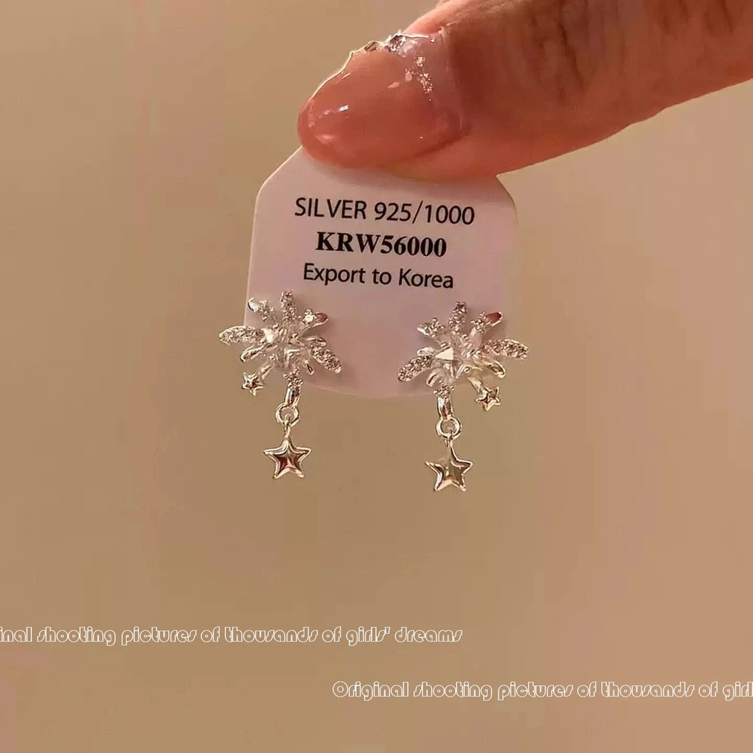 合金耳饰 小众设计感锆石烟花星星耳钉女精致气质百搭耳环耳饰