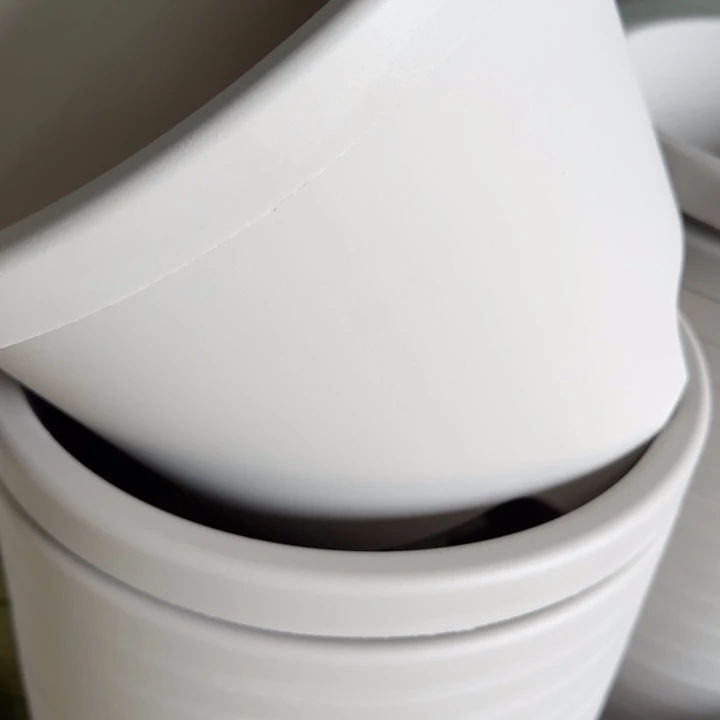 球根4号灰白色10个无托