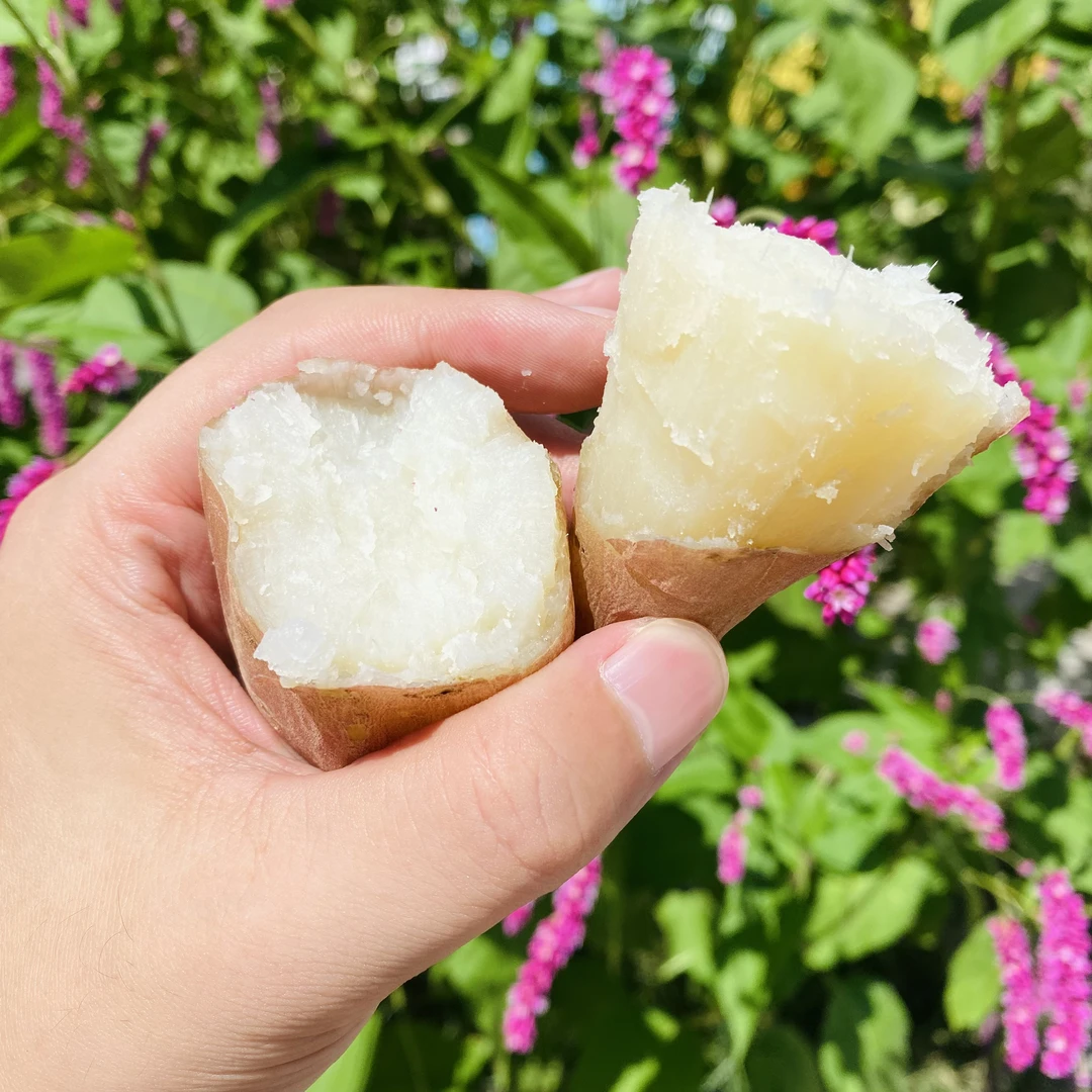 冰糖哈密红薯一箱 带箱5斤左右 可蒸可烤红薯