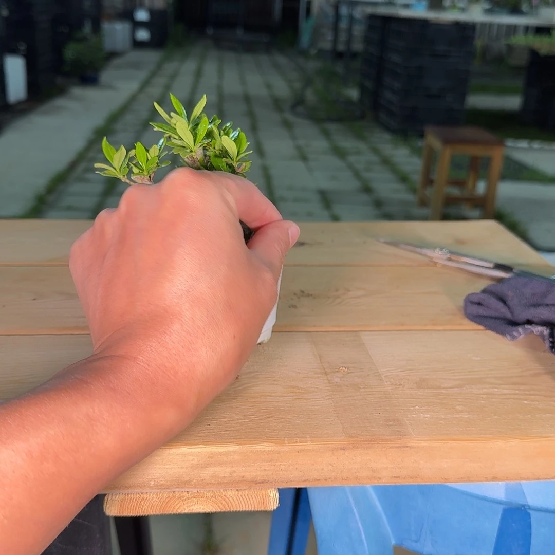 ?*李一颗不留全场福利253