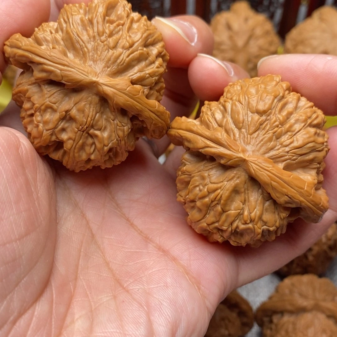 文玩核桃把件毕业绝配白狮子46尺