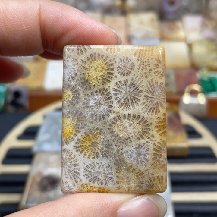 硅化玉未镶嵌颈饰k76
