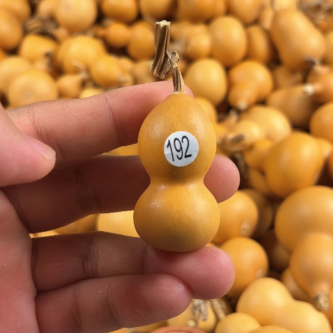 一葫芦葫芦葫芦葫芦192