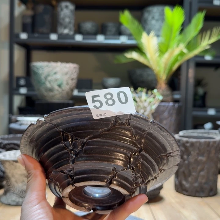 内口14高5.5浅盆块根盆