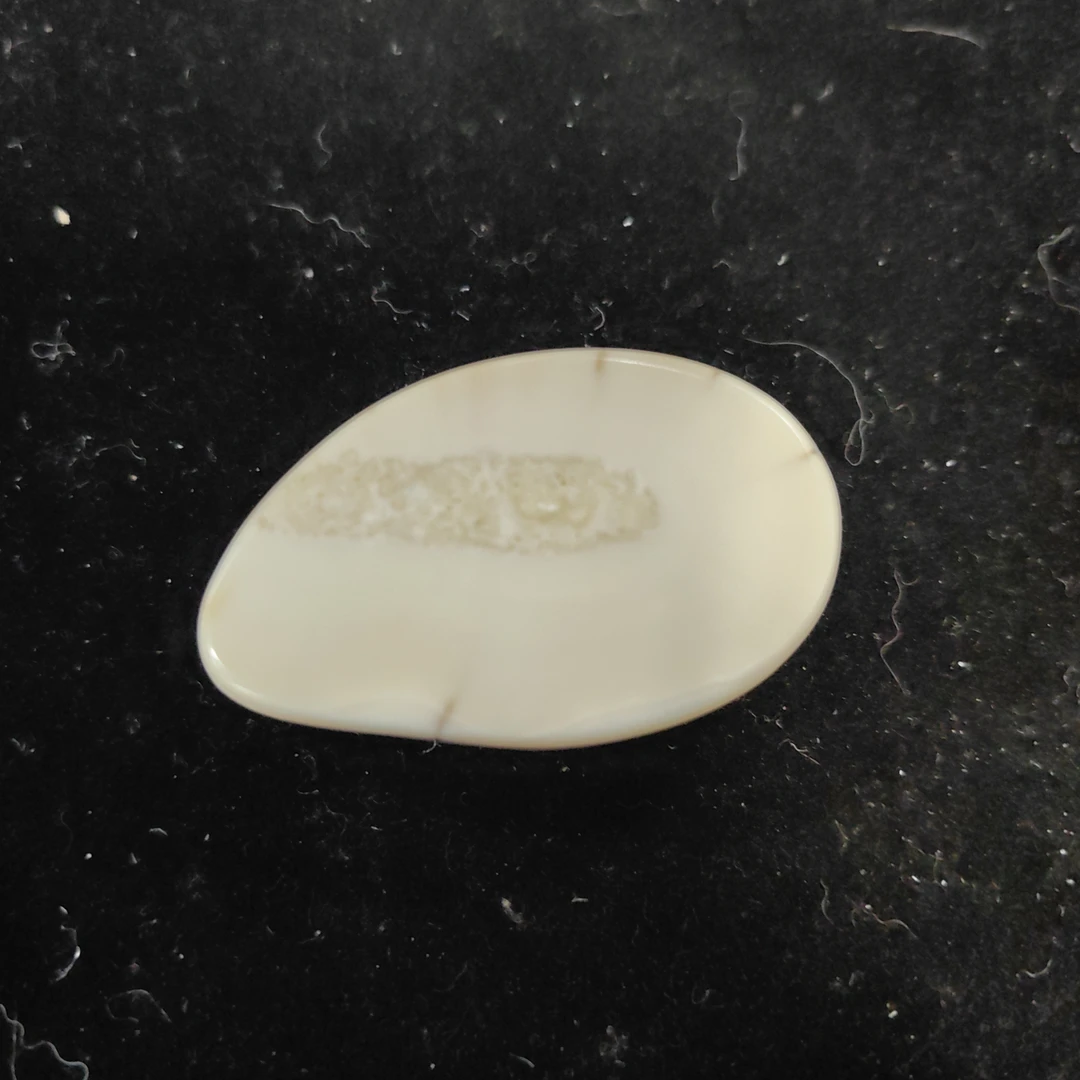猛犸猛犸虬饼子WT411